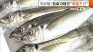 刺身になめろう！“新潟県産アジ”が旬迎える　スーパーで選ぶときのポイントは「光沢と厚み」