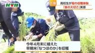 実りの秋　五島列島の高校生が稲刈り体験