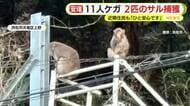 親子と見られる”噛みつきザル”　2匹とも捕獲に成功し駆除へ　11人がケガ…骨折をした人も　近隣住民「ひと安心です」