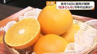 愛媛オリジナルの高級かんきつ　紅まどんな・甘平の選果目合わせ会　２０２６年の出来は？【愛媛】