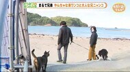 一緒にお散歩するワンニャン兄弟【どうぶつのカンパネラ】下田市