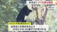 わなに親グマが…子グマもそばに　青葉区の住宅近くで緊迫 ７時間後に２頭を駆除〈仙台市〉