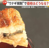 うなぎの価格は今後どうなる？国際取引に“規制強化”の動き…11月末に国際会議控え小泉農水相「全力尽くす」