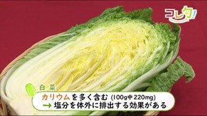 コレ旬!冬野菜の定番「白菜」 宮崎県