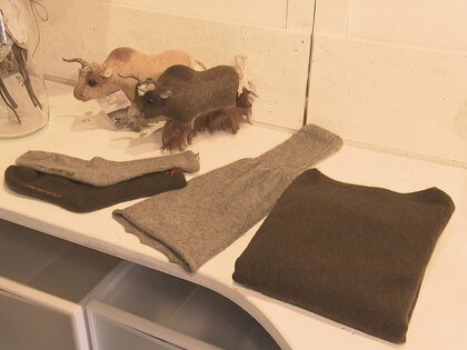 “ポストカシミヤ”と世界が注目…『ヤク100％』のレア商品を扱うモンゴル専門衣料品店 マイナス30度の極寒にも