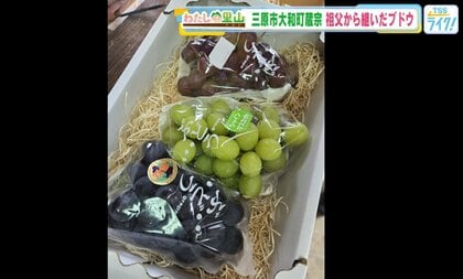 若き移住者が継ぐ里山のぶどう園　—　三原・蔵宗で受け継がれる土と技　【広島発】