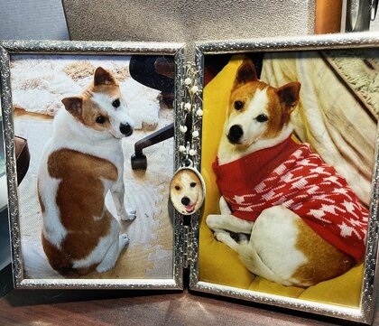 落とした「亡き愛犬の写真入りペンダント」がSNSの“善意のリレー”で発見！さらにサプライズな出来事も…“優しさの連鎖”に心が温まる