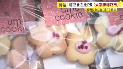 “梅の街”をPR「太宰府梅乃市」　紅梅にちなみ“赤”を身につけた人にプレゼント　梅を使ったスイーツやビールも　福岡