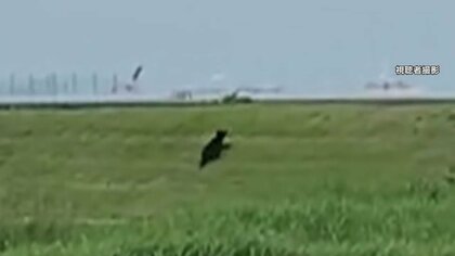 1.2mクマが市街地うろつき川渡る…通報相次ぎパトカー20台　4歳オスか　猟友会により駆除　山形・酒田市