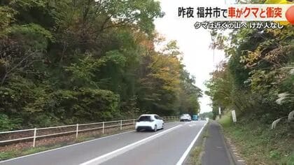 福井市の団地近くにクマ　乗用車と衝突し山へ逃げる　運転手にけがなし　近くの小学校は屋外活動を中止