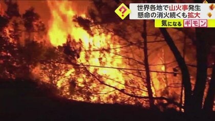 柴山 安い ニット 火事