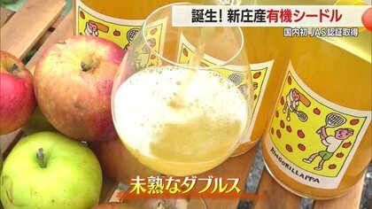 50本限定！　農薬使わずリンゴ本来の味を引き出したシードル・一子相伝の伝承野菜の栽培法を応用【山形発】