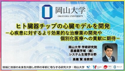 【岡山大学】ヒト臓器チップの心臓モデルを開発-心疾患に対するより効果的な治療薬の開発や個別化医療への貢献に期待-