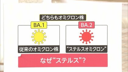 オミクロン株さらに変異“ステルスオミクロン株”とは…専門家「感染力は約2倍、第7波が来る恐れも」