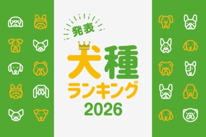 最新版！『犬種ランキング2026』