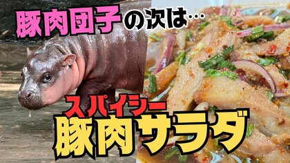 「豚肉団子」「チャーシュー」の次は「豚肉サラダ」　世界中でバズるコビトカバの“おいしそうな名前”　ドイツでは「ロールパン」誕生