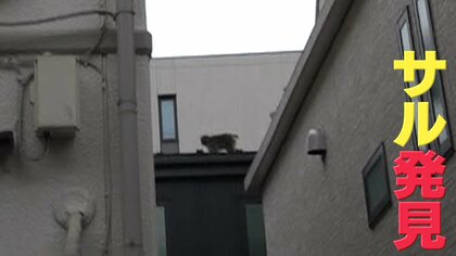 西日暮里に「サル」 千葉から来た個体か？都内北部を転々…