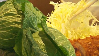 “キャベツ”1玉500円超！？価格高騰で2分の1カットが人気に「せめて半分だけでも…」 “おかわり自由”のとんかつ店では経費約4倍に「我慢するしかない」