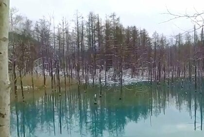 人気観光スポット『青い池』 駐車料金に上乗せして税を徴収する案を検討　宿泊施設利用者への課税検討も　オーバーツーリズム対策 早ければ2025年10月開始　北海道美瑛町