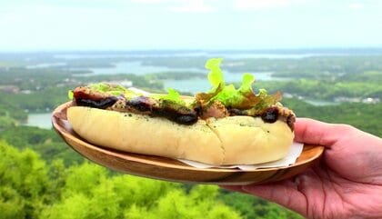空を飛んでいるかのような絶景で味わう「横山天空サンド」…あおさの粉末で育った豚肉と味噌が抜群の相性