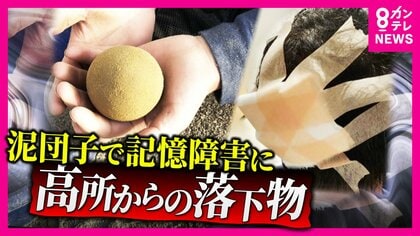 『落下物』が凶器に　子供が投げた泥だんごで50代男性記憶障害　タワマンから男性落下で巻き込まれた男性も死亡　加害者にも被害者にもなる恐れ
