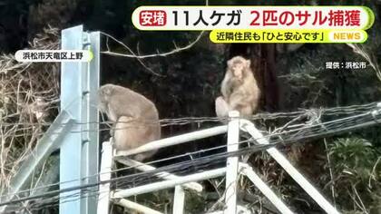 親子と見られる”噛みつきザル”　2匹とも捕獲に成功し駆除へ　11人がケガ…骨折をした人も　近隣住民「ひと安心です」