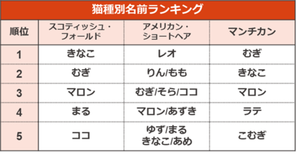 むぎ の人気が急上昇 今年は犬 猫共に同じ名前が１位に ペットの名前ランキング21 うさぎ ネズミ 鳥のランキングやキラキラネームも公開