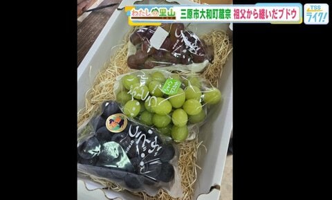 若き移住者が継ぐ里山のぶどう園　—　三原・蔵宗で受け継がれる土と技　【広島発】