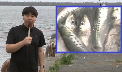 【北の海に異変】マイワシの水揚げが”2か月間ゼロ”の異常事態―全国トップ誇る北海道釧路港で過去10年例を見ない記録的不漁―名物「勝手丼」の店はイワシ不在の事態に―飼料用のミール工場も稼働できず