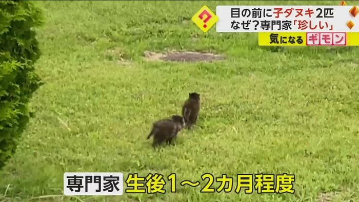 (FNN投稿サイト「ビデオPost」)