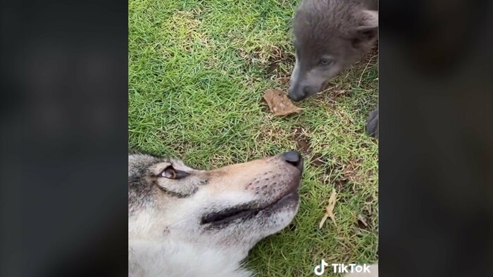 優しい目をしているのが分かる