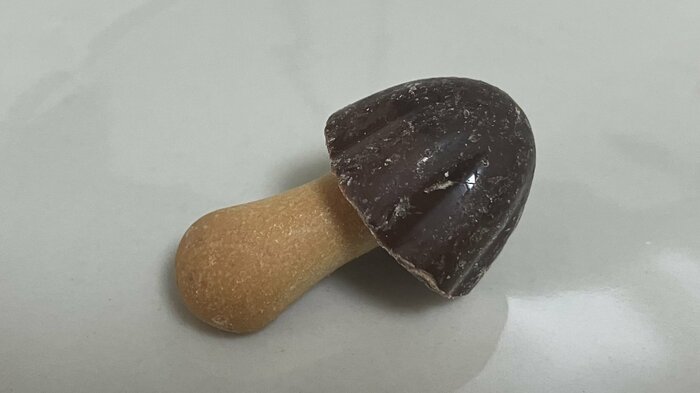 イヤホンにできるかどうか、形状も関係したという※画像はお菓子の「きのこの山」(編集部撮影)