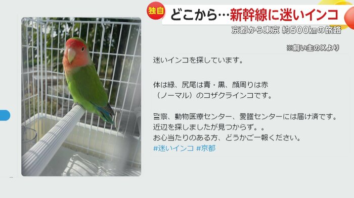 飼い主に投稿されたSNS(SNS投稿写真)