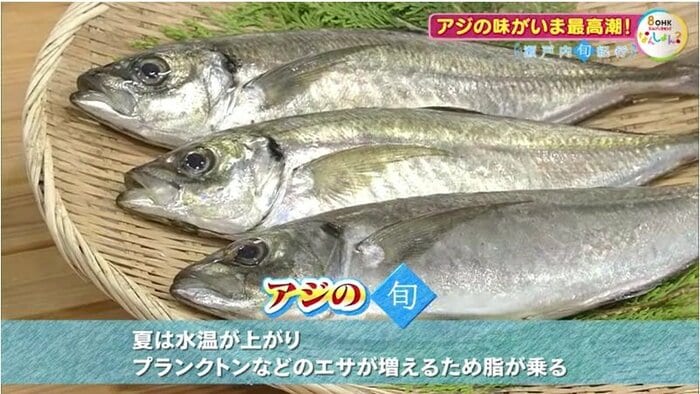 アジの「旬」