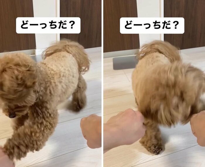 両手に攻撃!