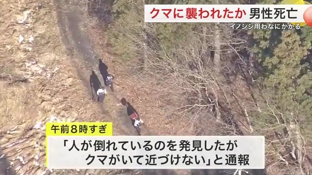 亡くなった男性は頭部に外傷があったという