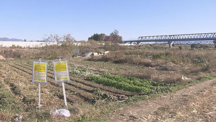 千曲川河川敷内に広がる「ヤミ畑」(2023年11月16日取材 長野市)