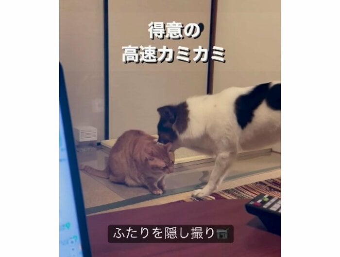 提供:naomiさん
