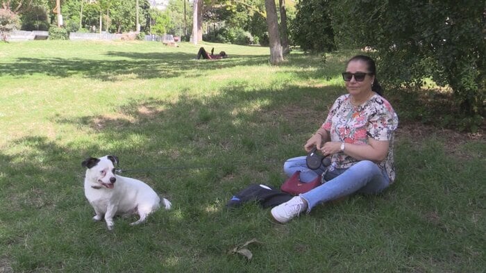 犬と散歩中の女性