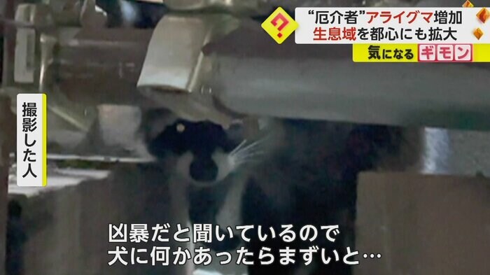 (FNN投稿サイト「ビデオPost」)