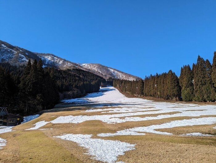2月17日 ゲレンデに芝がのぞく 提供:オニコウベスキー場