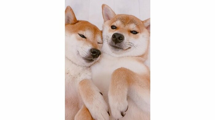 左:ムックくん 右:ミントちゃん