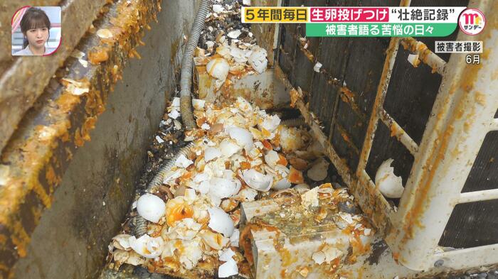 室外機の裏には卵の残骸が大量に…