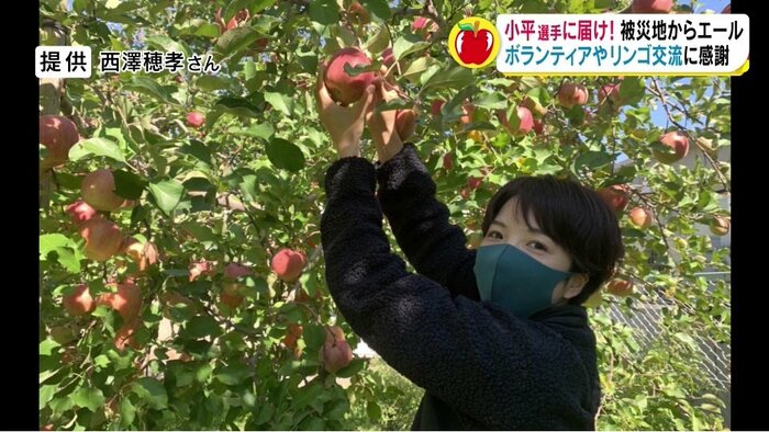 被災1年後にリンゴ狩り