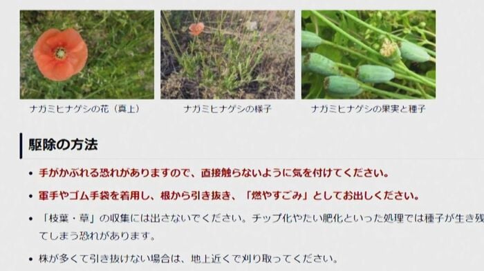 新潟市のホームページ