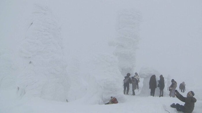 2025年1月13日 この時期にしては大きい樹氷