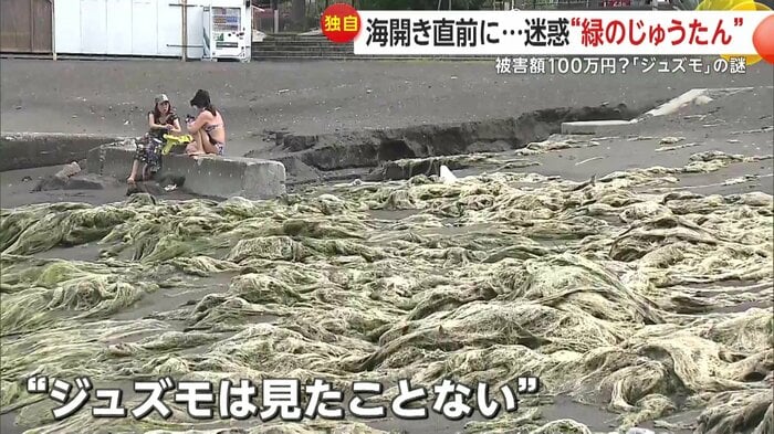 地元の人「見たことない」