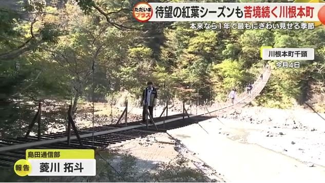 夢のつり橋(2024年11月4日)