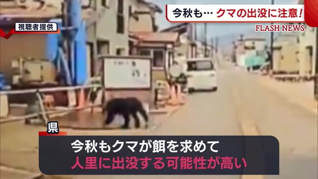 今年もブナの実不作 クマの出没に注意を! 昨年度は人身被害 過去最多に…【新潟】
