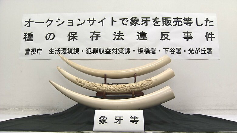 「マンモスの牙」「象牙風」表記偽り販売か…男3人逮捕 “絶滅恐れ”アフリカゾウの牙 「処分に困って販売」容疑認める|FNNプライムオンライン